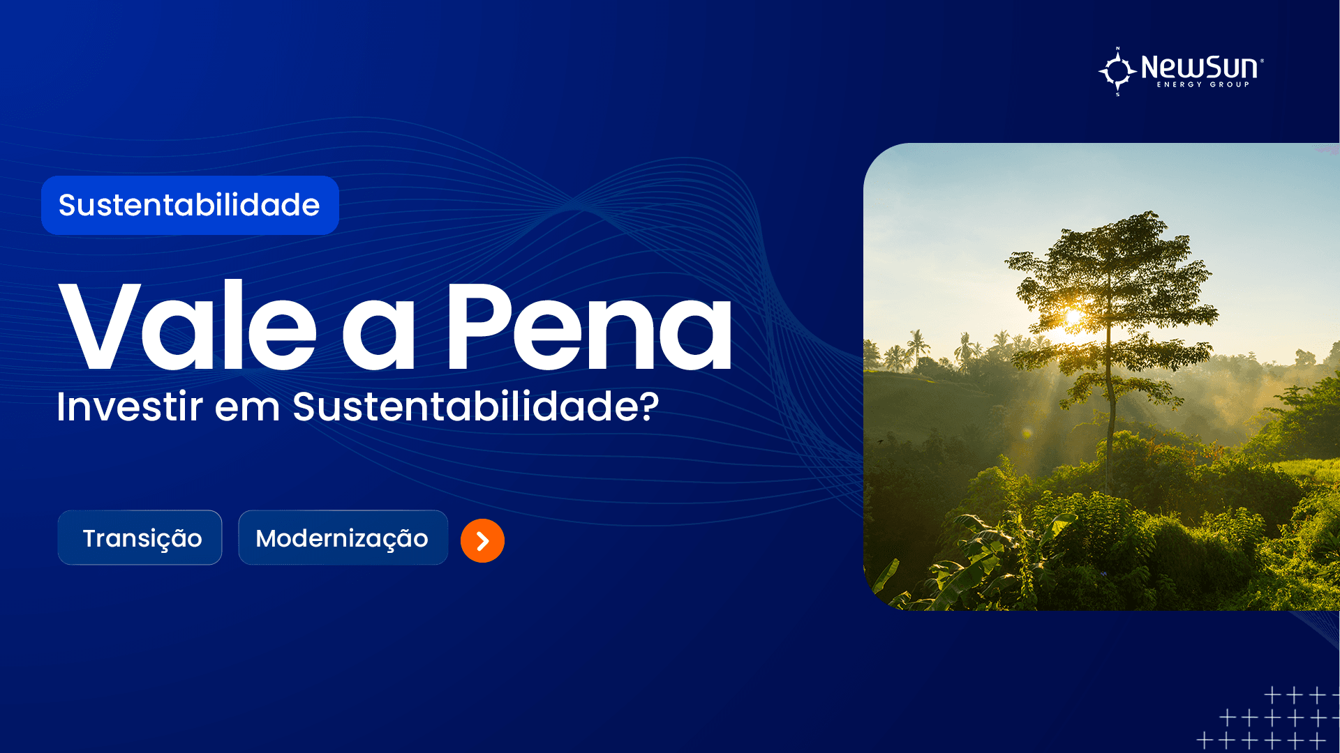 Vale a Pena Investir em Sustentabilidade? 